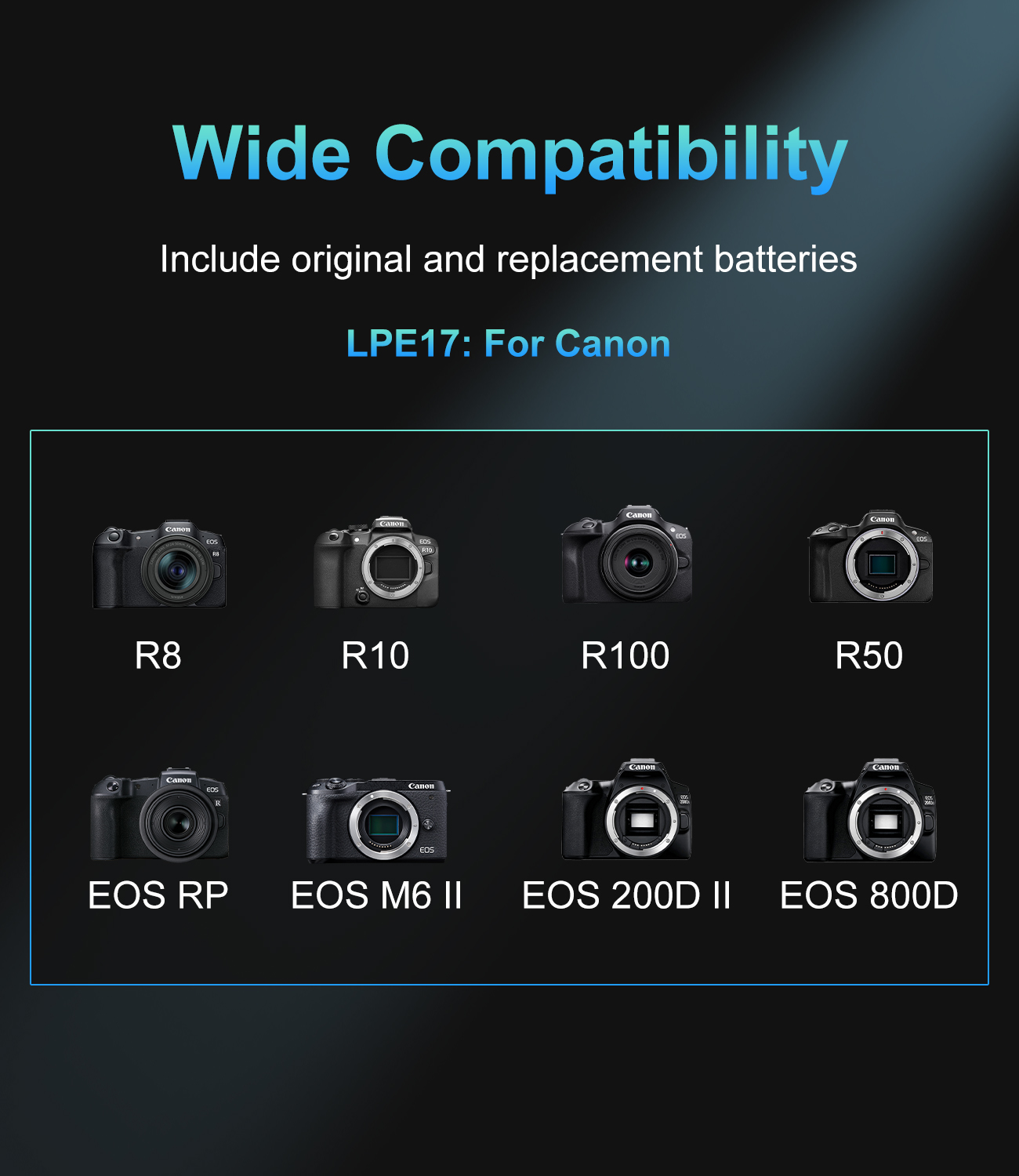 20W USB-C PD Dual Slot Ladeger – Canon Camera Eos R50 Bewertung und Preis